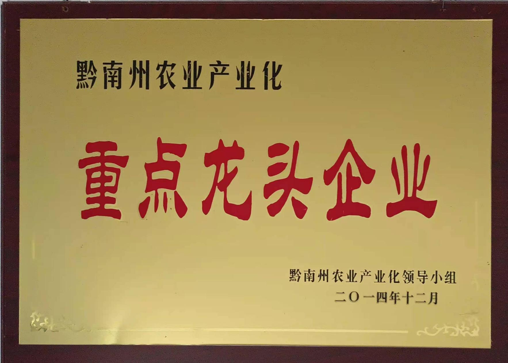 重點龍頭企業(yè)