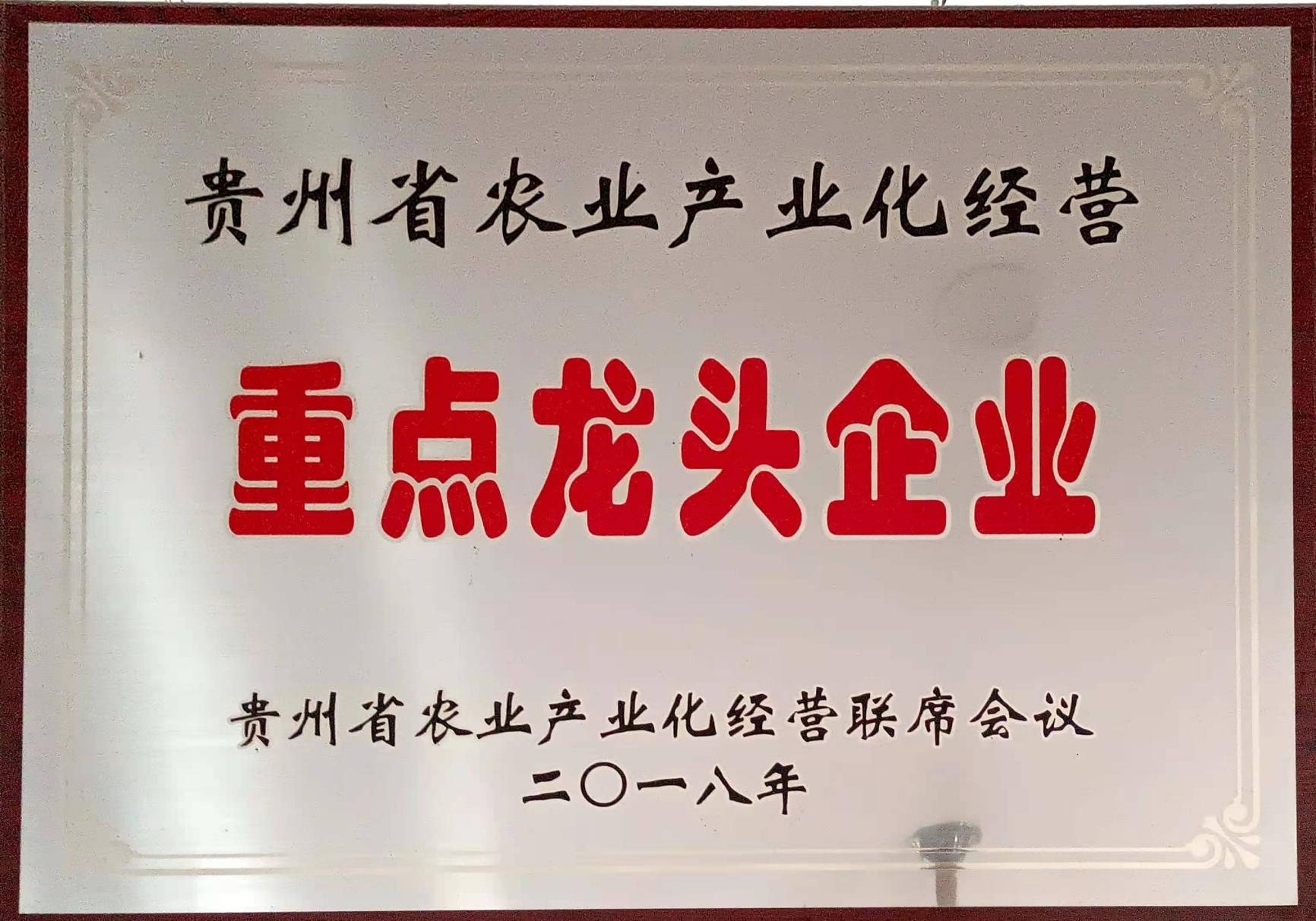 重點龍頭企業(yè)